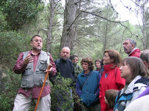 Catalunya país de boscos (sense saber-ho)