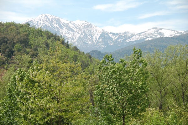 No creiem en les fronteres