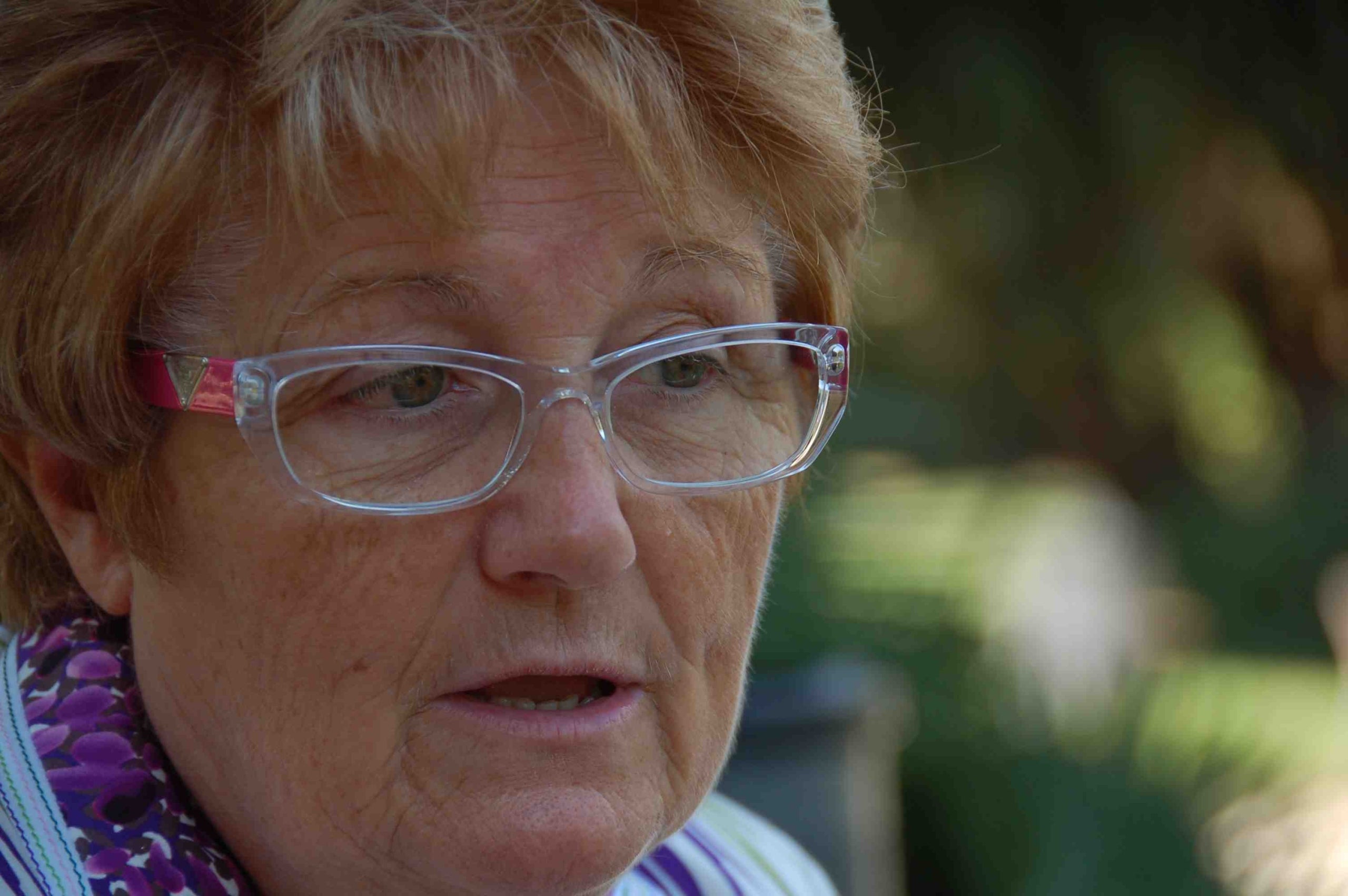 Vicenta Pallarès: 'Estem organitzant el IV Congrés d'Art Efímer'