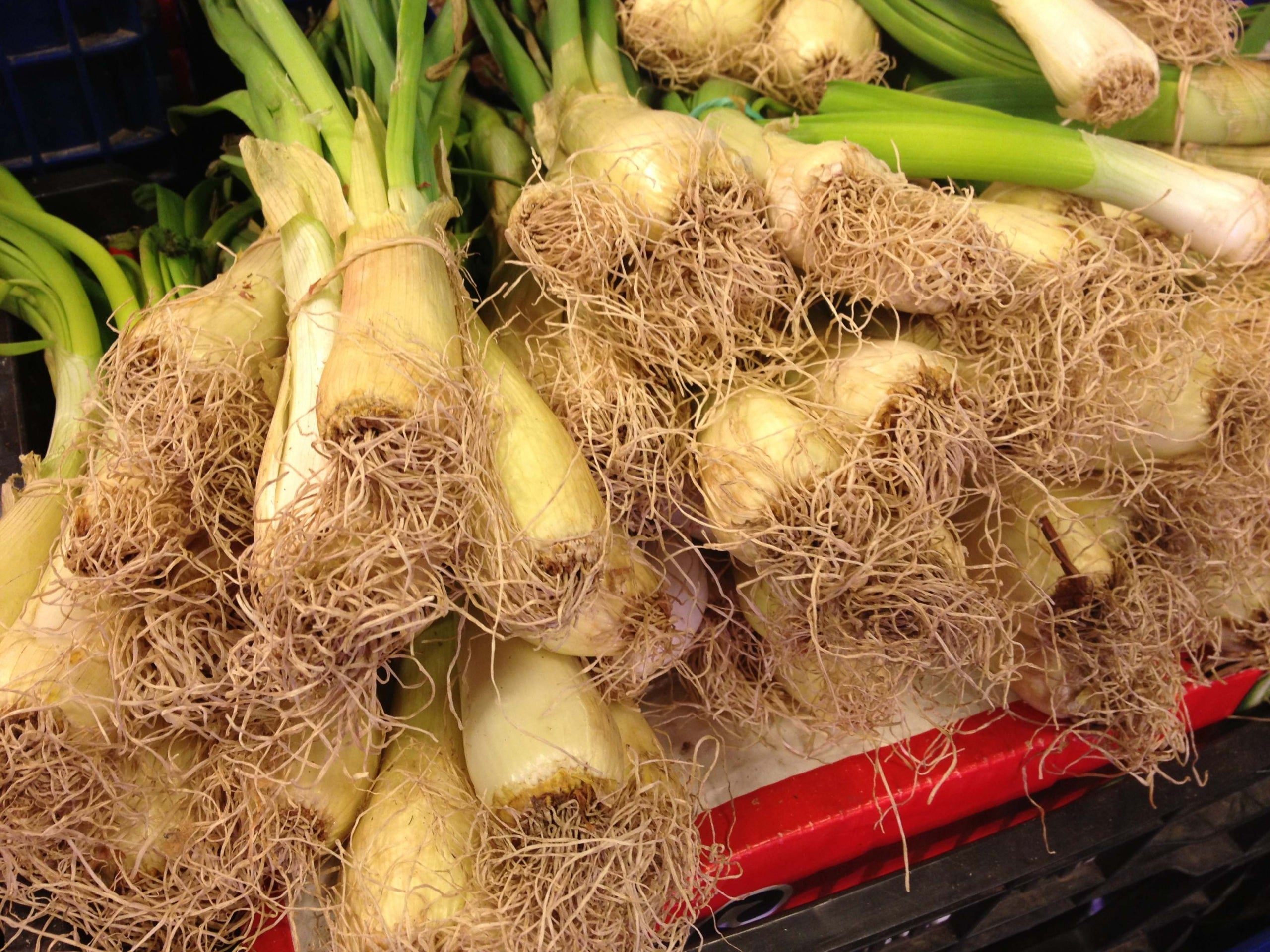 Encara una mostra d’autoodi cultural en una emissora pública