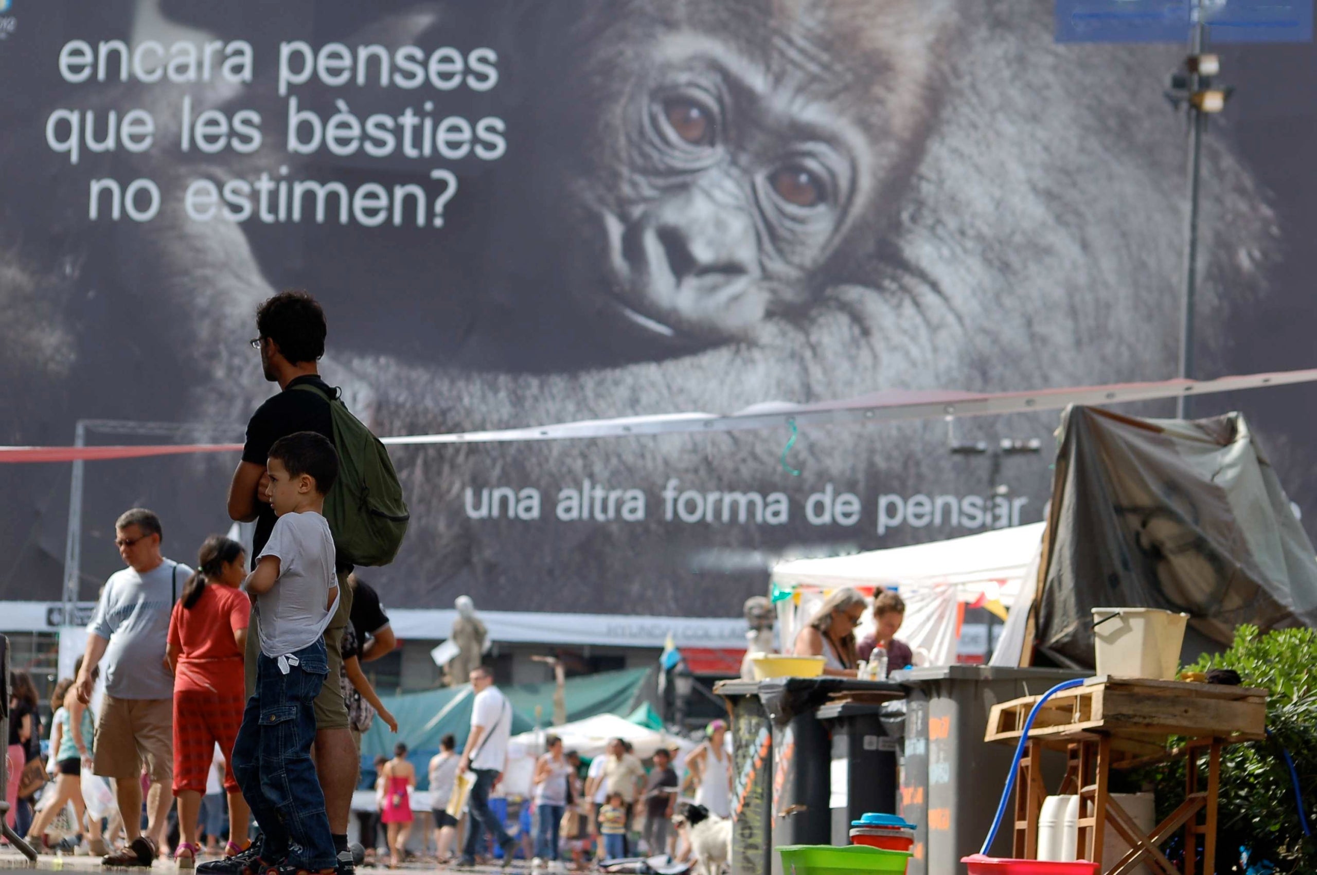 Curtmetratges que desperten consciències