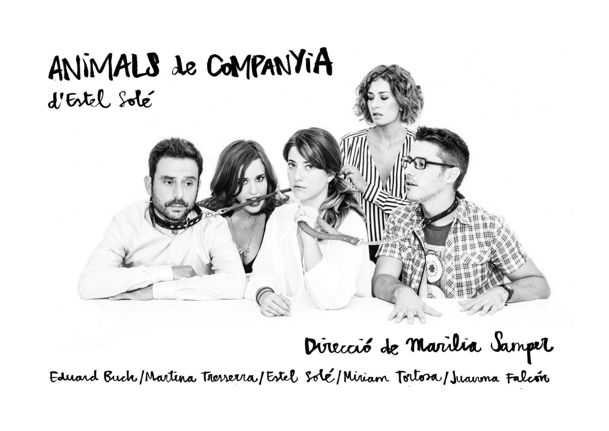 Teatre al menjador de casa: «Animals de companyia» d’Estel Solé