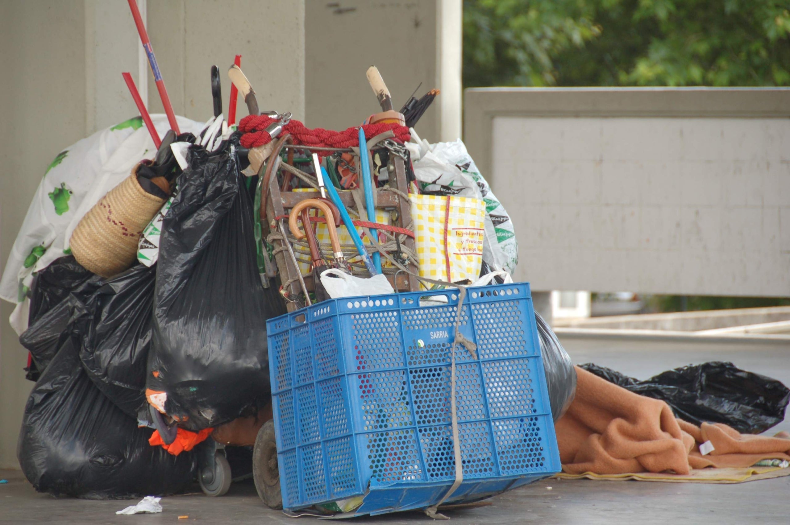 El capital al segle XXI