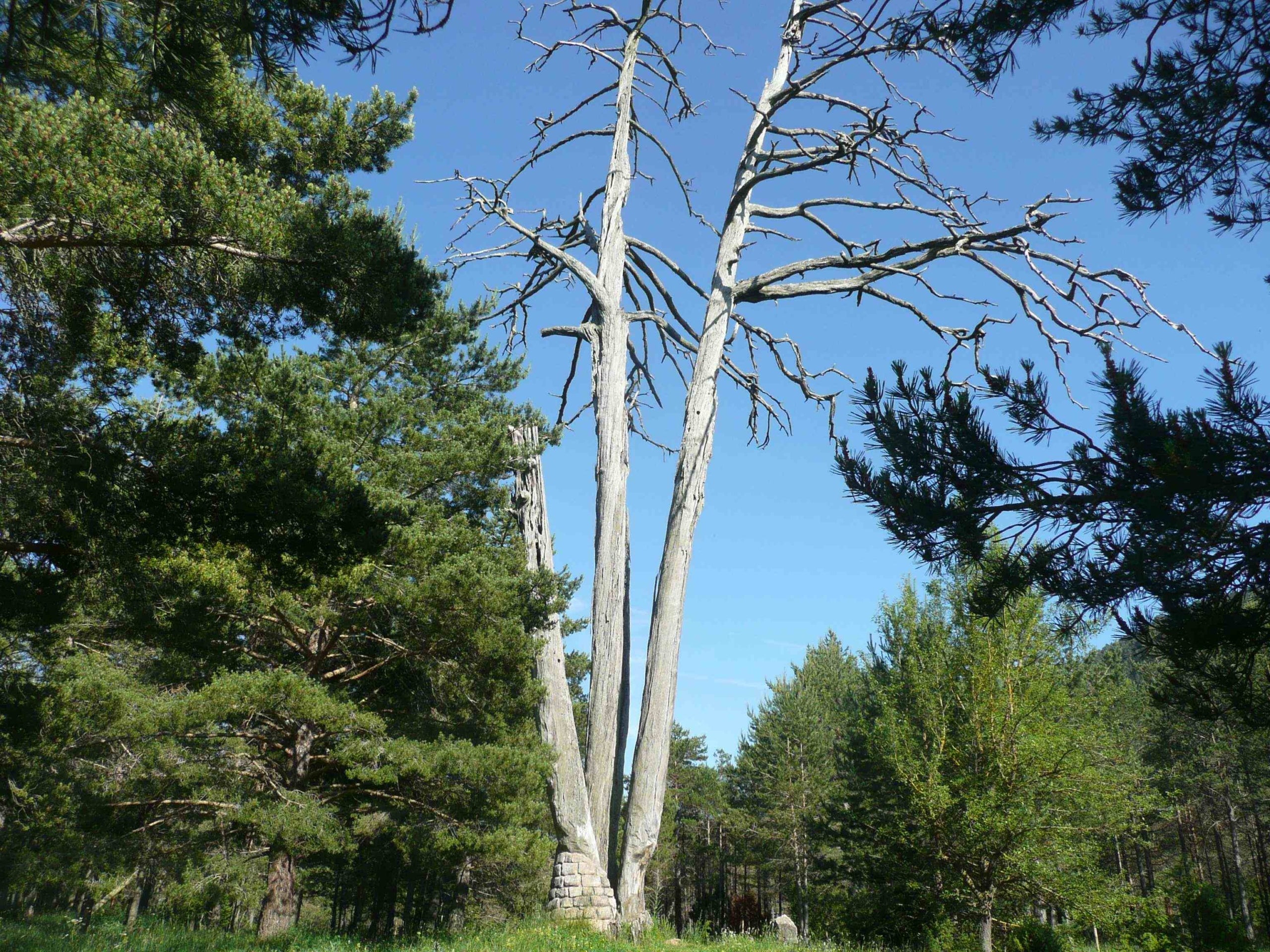 No caure en la provocació, respondre a l’atac