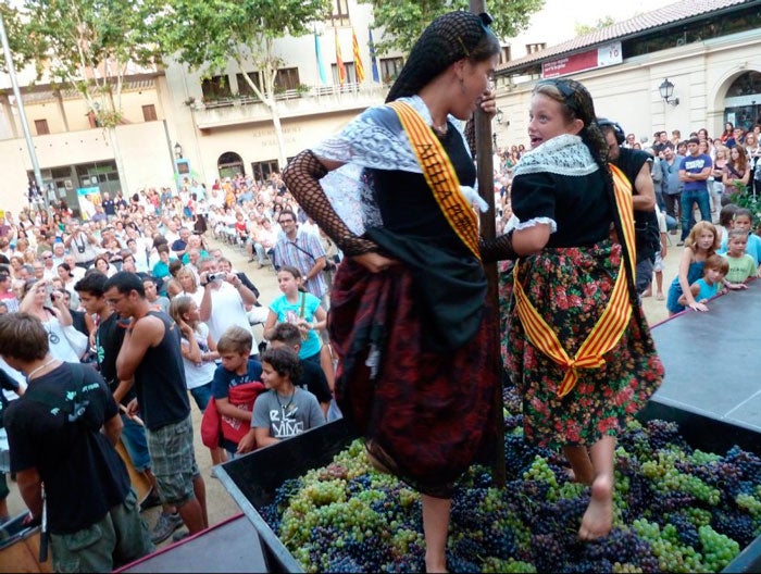 Festes sota el signe del vi