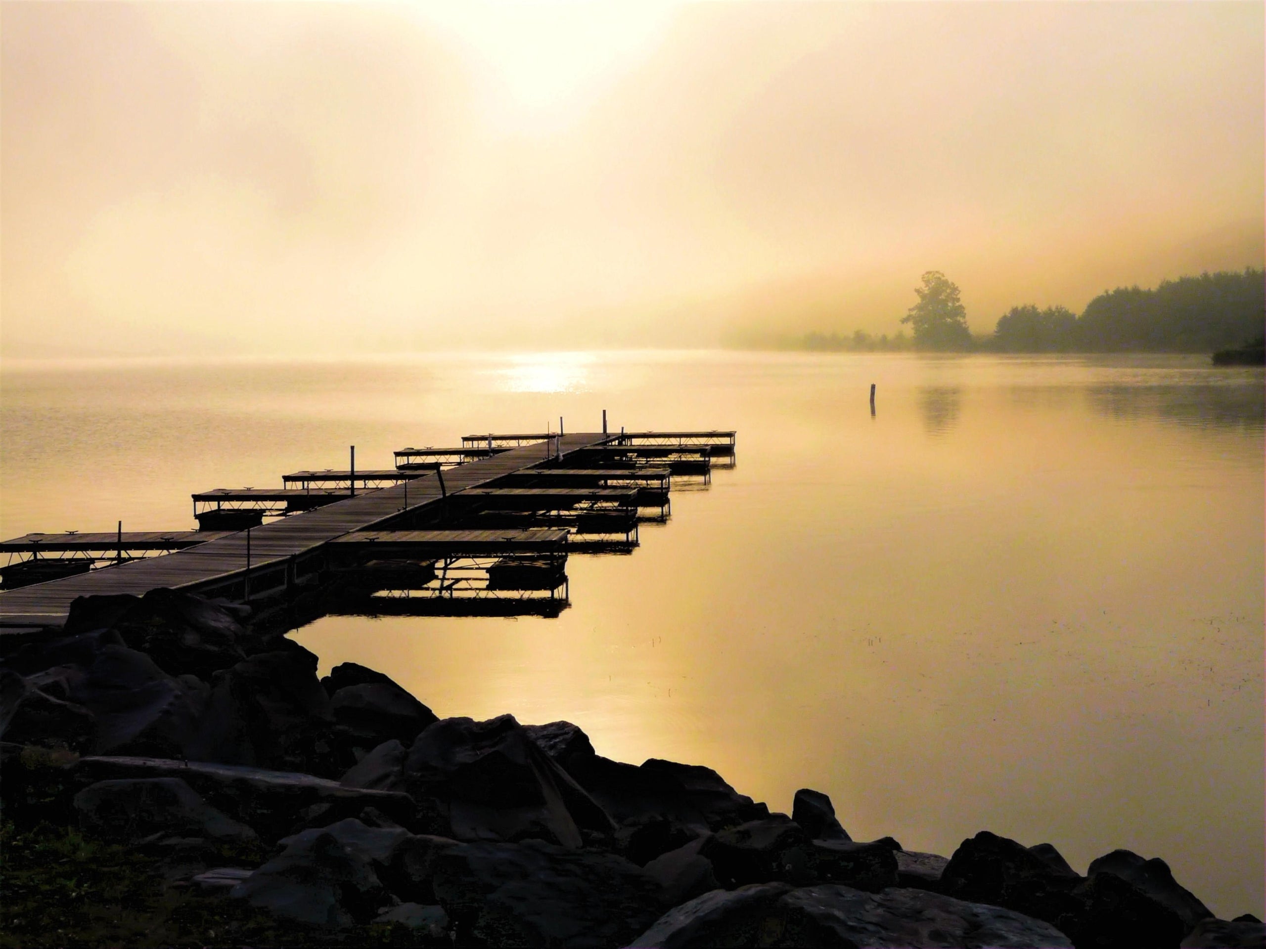 El llibre de la vida s’estén al món de l’associacionisme