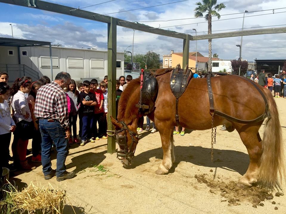 Sant Joan Despí, Cap i Casal dels Tres Tombs