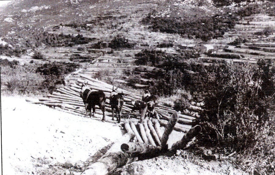 L'exposició 'Construint el territori' profunditza en la relació entre espais i persones