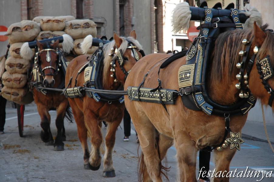 La Festa dels Tonis de Taradell: activitats per a tots