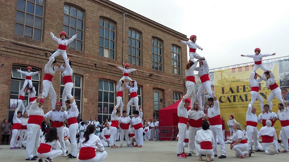 Els Falcons mostren la seva diversitat de construccions al Som Cultura Popular