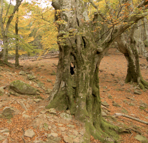La natura de l’Empordà en estat pur