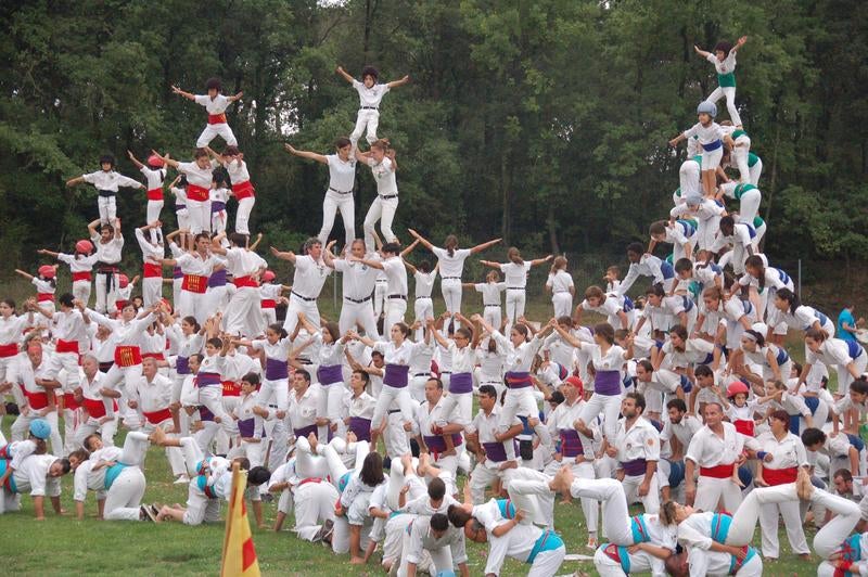Tot a punt per a l'esdeveniment falconer de la temporada