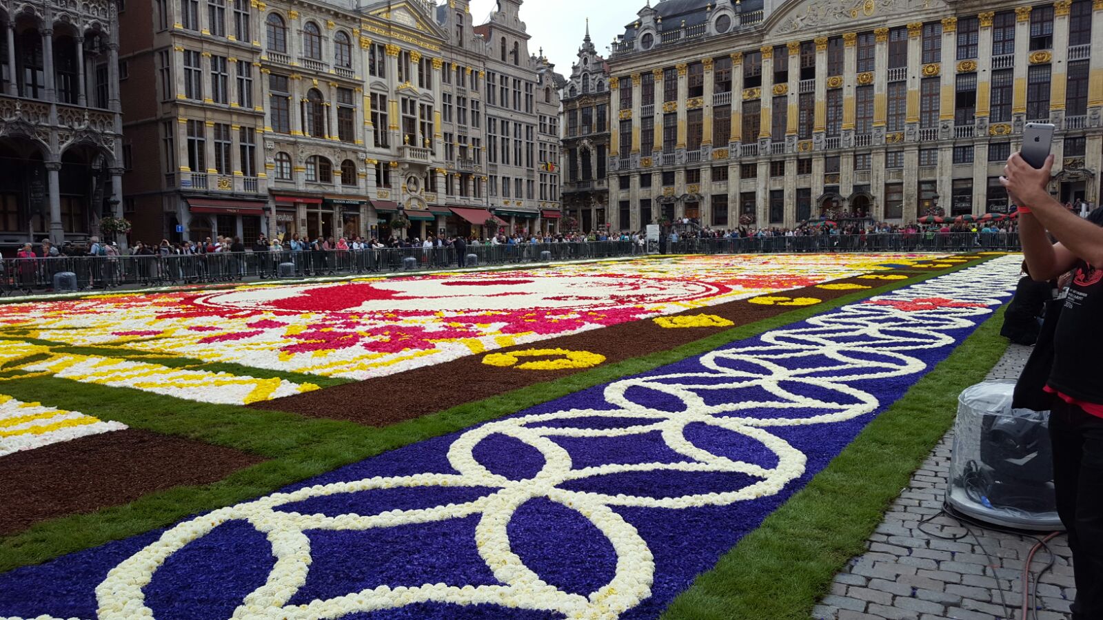 Catifaires catalans col·laboren en la catifa floral més gran d'Europa