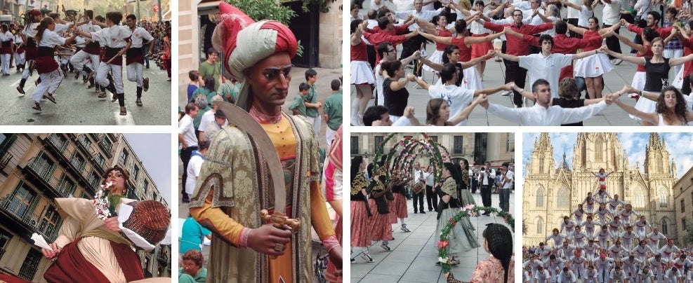 El nou escenari legislatiu de la cultura popular al Plenari de l'Ens