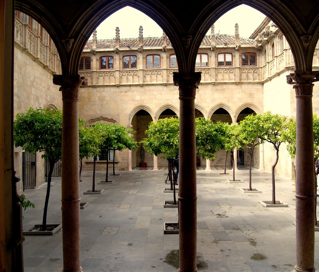 A la Generalitat me’n vull anar...