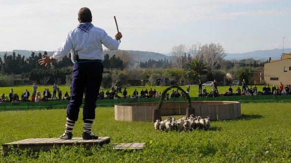 La Fira de Sant Andreu de Torroella, una fira amb més de 600 anys