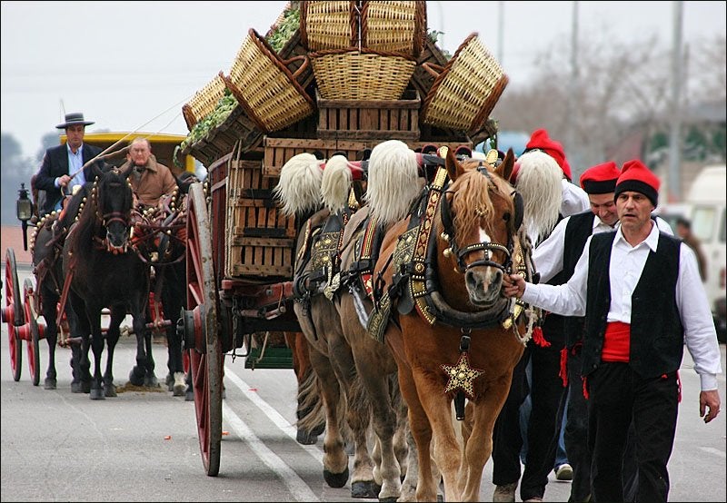 Les dates dels Tres Tombs 2017
