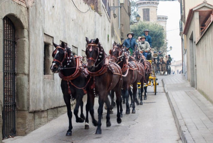 Els Tonis de Manlleu, la gran festa d’hivern