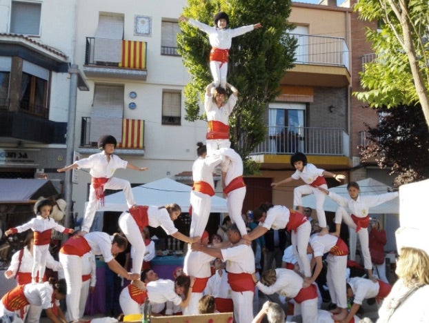 Els falcons ja formen part de la terminologia catalana