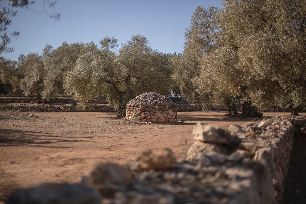 Les Terres de l'Ebre, quatre comarques, quatre paisatges