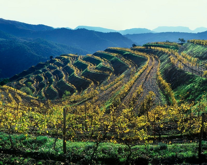 Prioritat: 10 anys fent territori