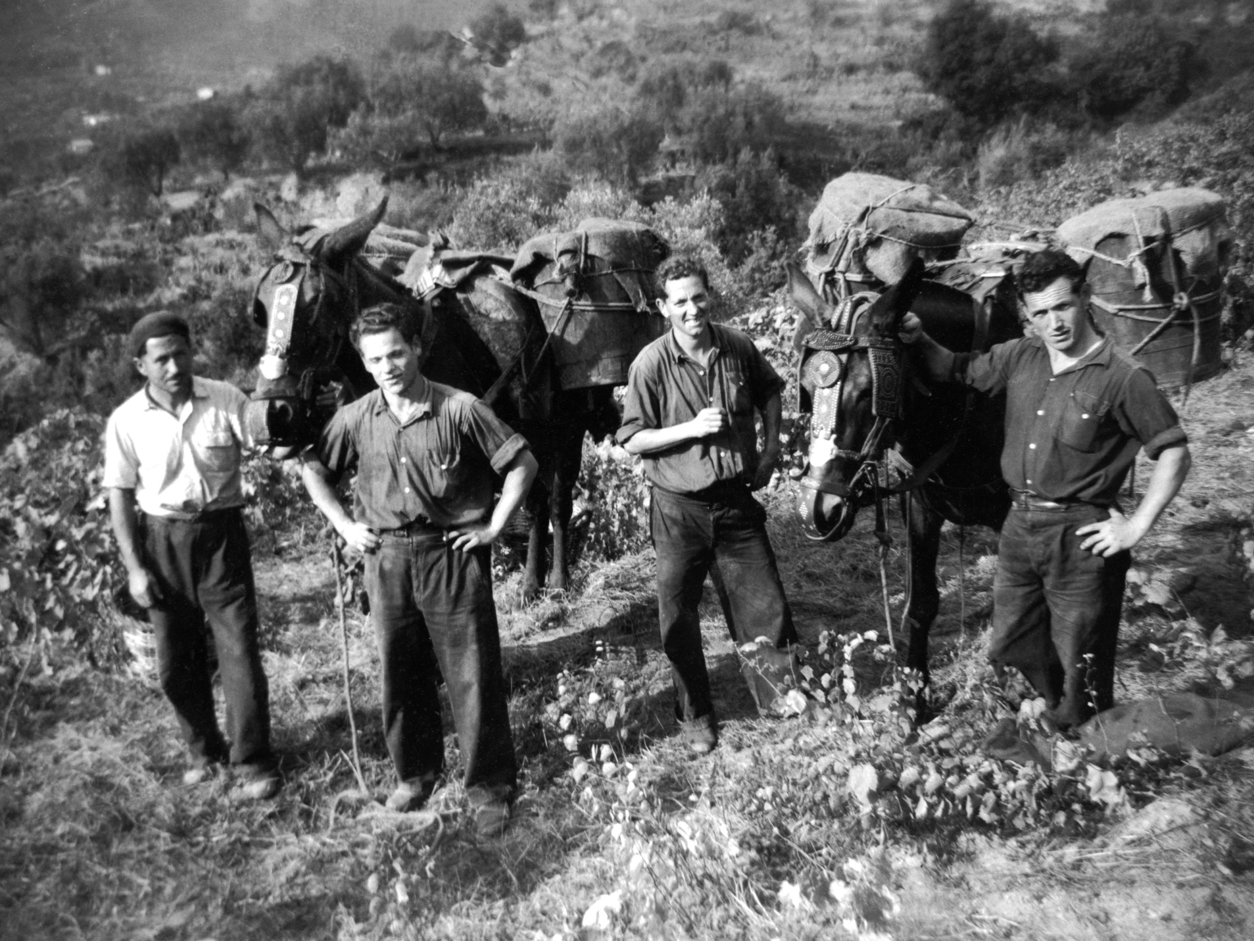 Basters, guarnicioners i traginers, els oficis originats pel transport de mercaderies