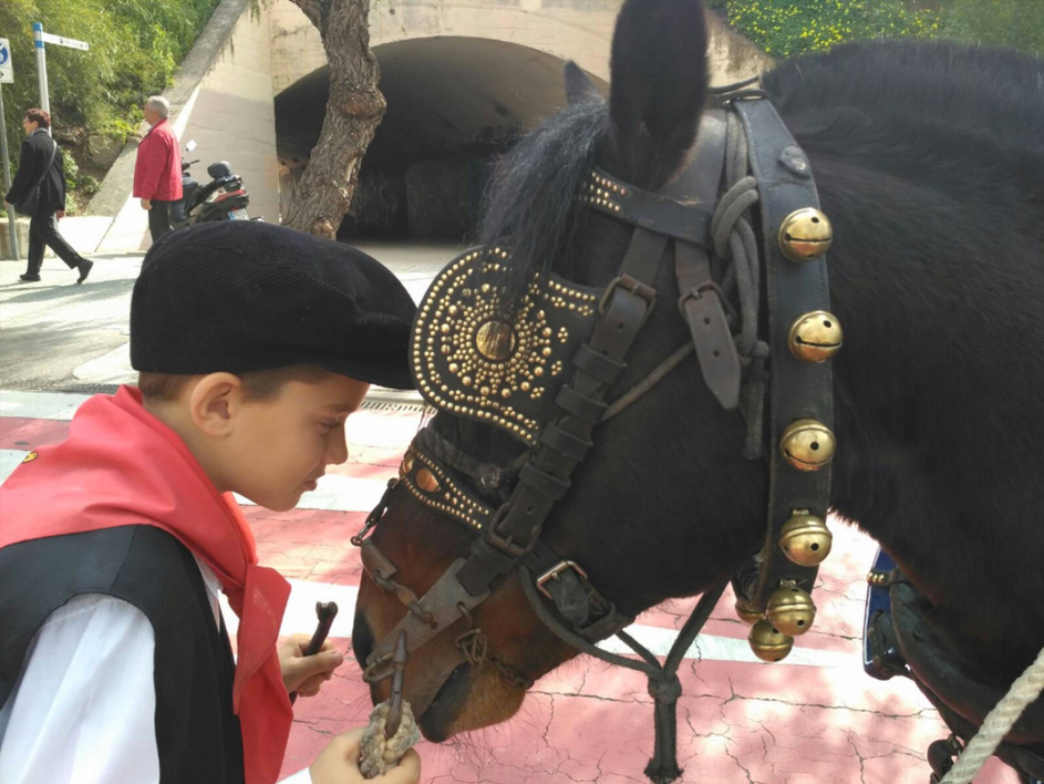 La Federació Catalana dels Tres Tombs prepara temporada
