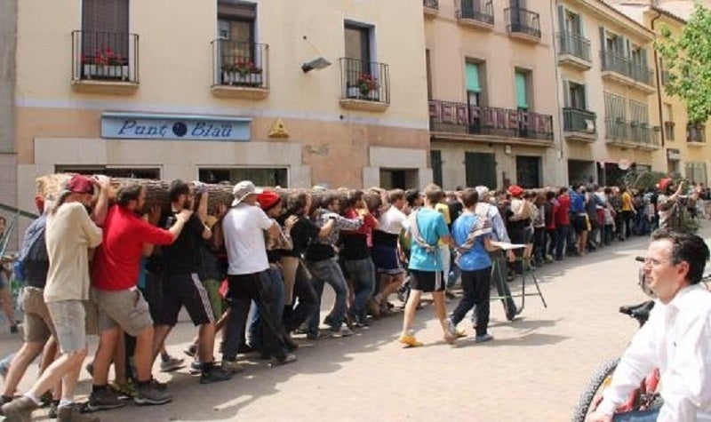 Les festes de l'arbre als Països Catalans