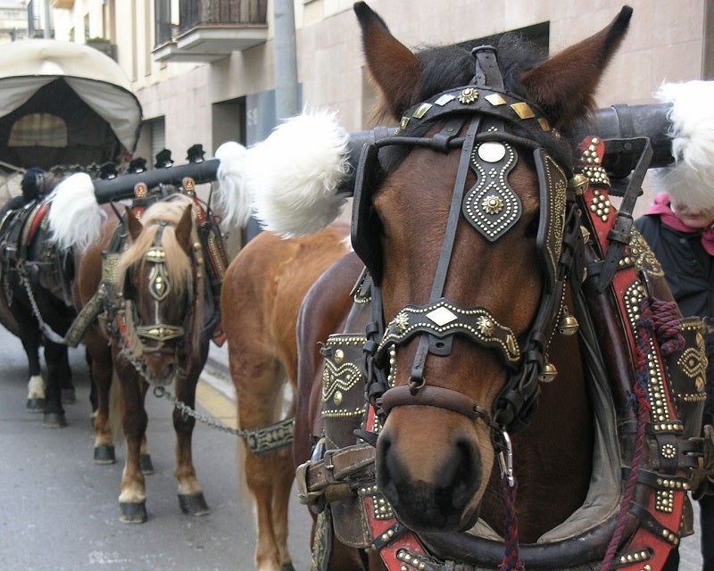 Totes les dates de la Temporada dels Tres Tombs 2018