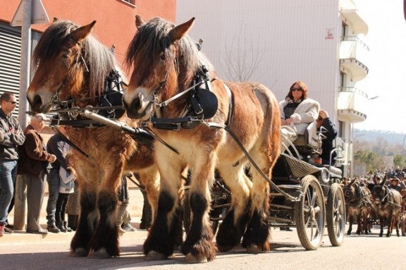 Balsareny celebra el 75è aniversari de la Festa dels Traginers