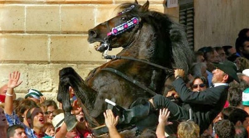 Debat sobre els animals en les festes populars a La Casa dels Entremesos