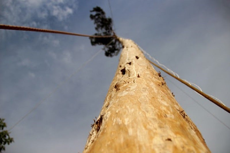 L'esforç d'una comunitat, l'alegria d'un poble