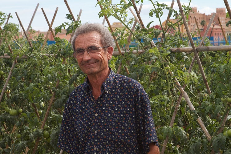 Vicent Martí: 'Quan hi pren part la consciència, anem cap endavant'rn