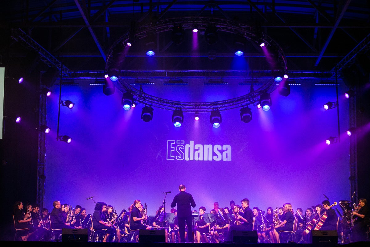 Dansa Saman, interpretat per Bireun Seudati d'Indonèsia.