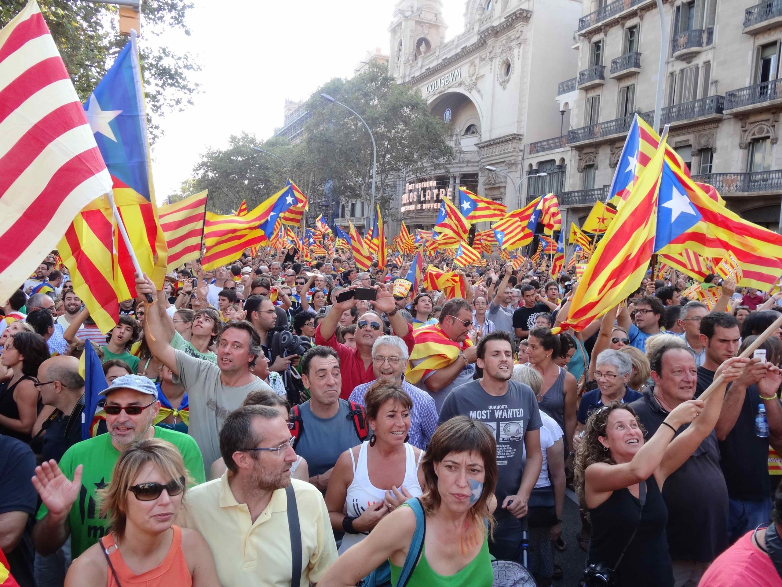 Sardanes per a la manifestació de l'11 de setembre