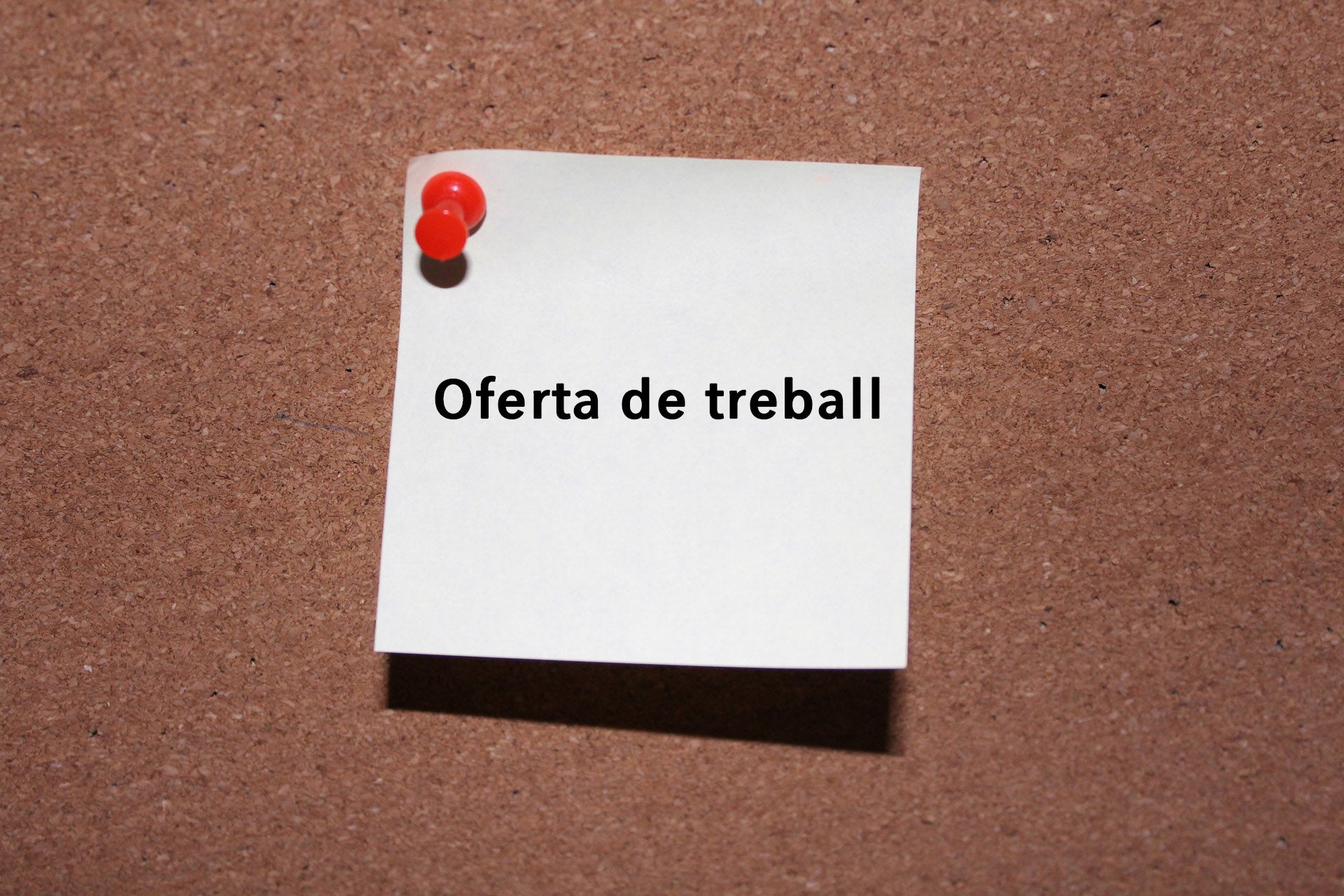 L'Ens busca ampliar el seu departament de comunicació