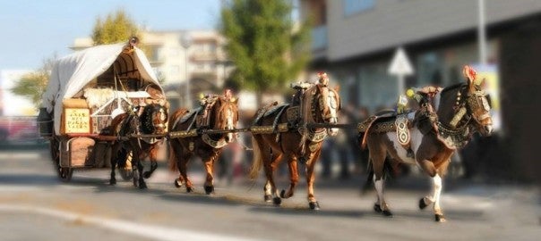 Rubí serà la capital dels Tres Tombs 2019