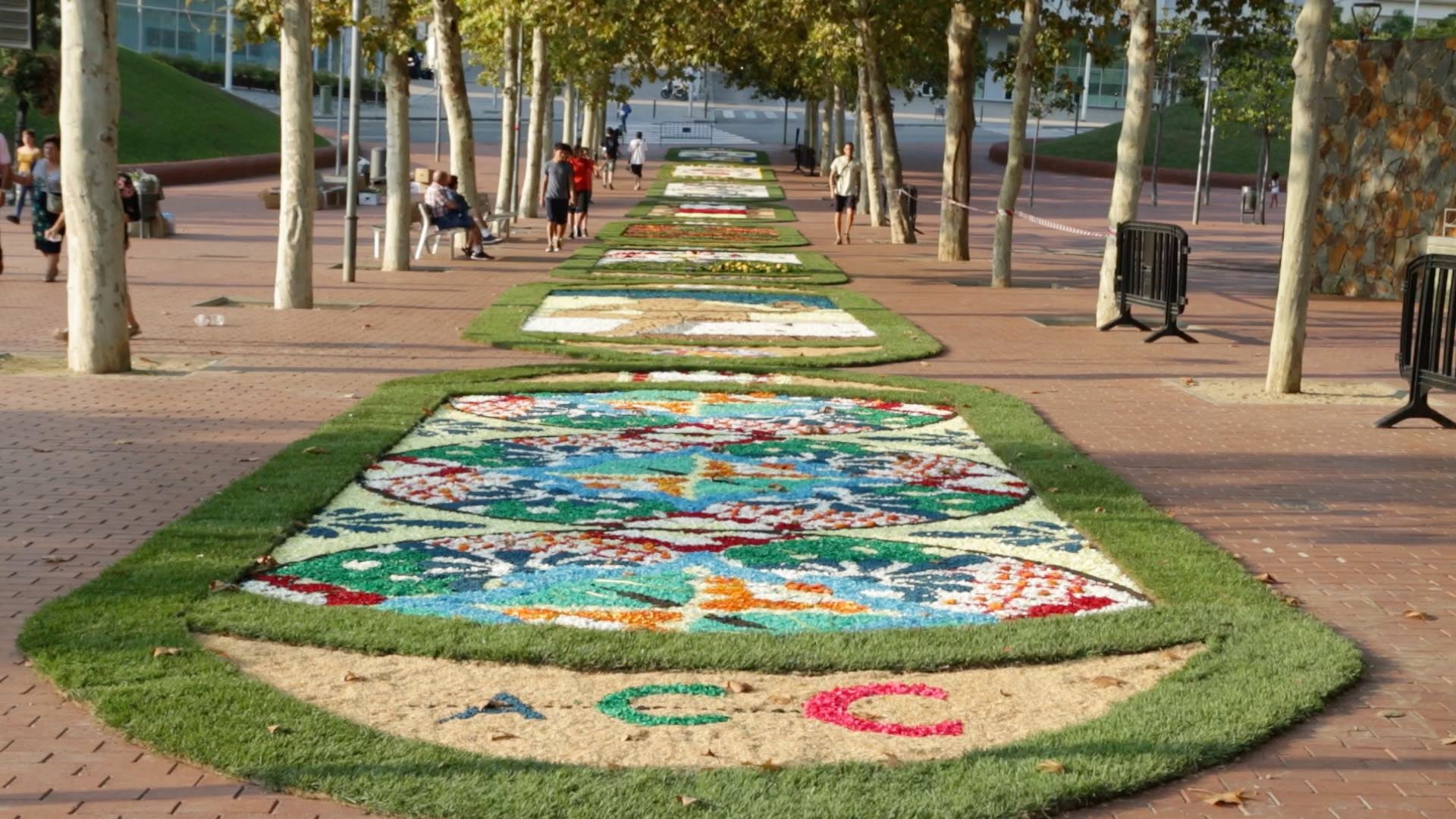 L'art catifaire vol ser inscrit en la Llista Representativa del Patrimoni Cultural Immaterial de la Humanitat segons la UNESCO