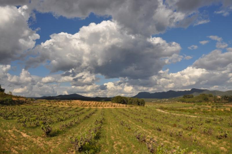 "Caminar entre els paisatges agraris és de les coses més intel·ligents que podem fer", afirma Santesmases