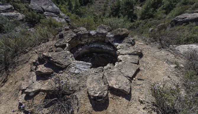 L’oli de ginebre, un patrimoni etnològic de la Ribera d’Ebre 