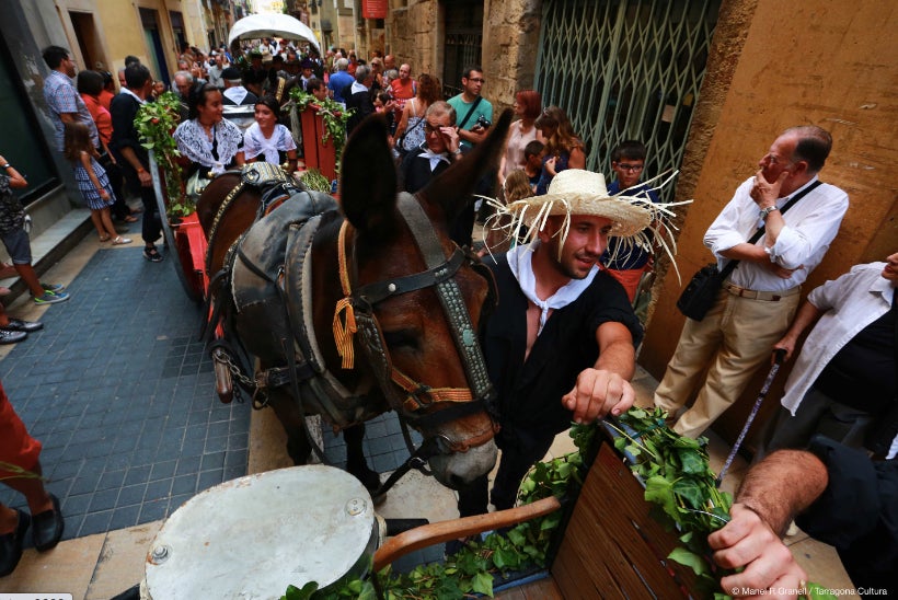 La festa de Sant Magí es repensa per mantenir la tradició en temps de pandèmia