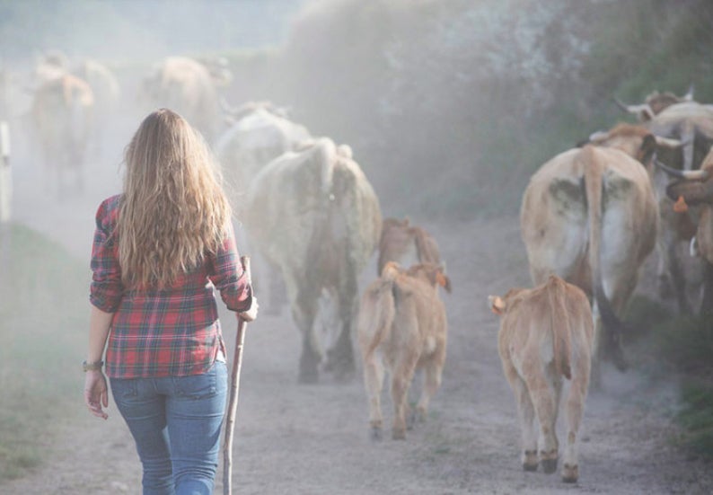 Entre el 25 de setembre i el 3 d'octubre, el Centre d'Estudis de la Muntanya de Montserrat organitza les jornades 'De la terra a la roca. Matonaires i vides pagesos als pobles de Montserrat'
