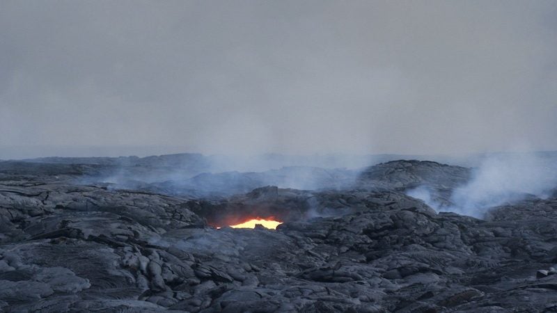 Fotograma del documental 'Swarm season', que es projectarà dimarts 6 d'octubre