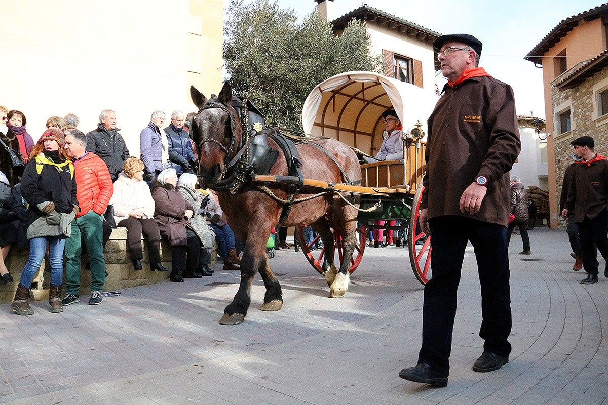 Imatge dels Tonis de Taradell 2020, la primera edició en la qual es va seguir el Protocol de Benestar Animal