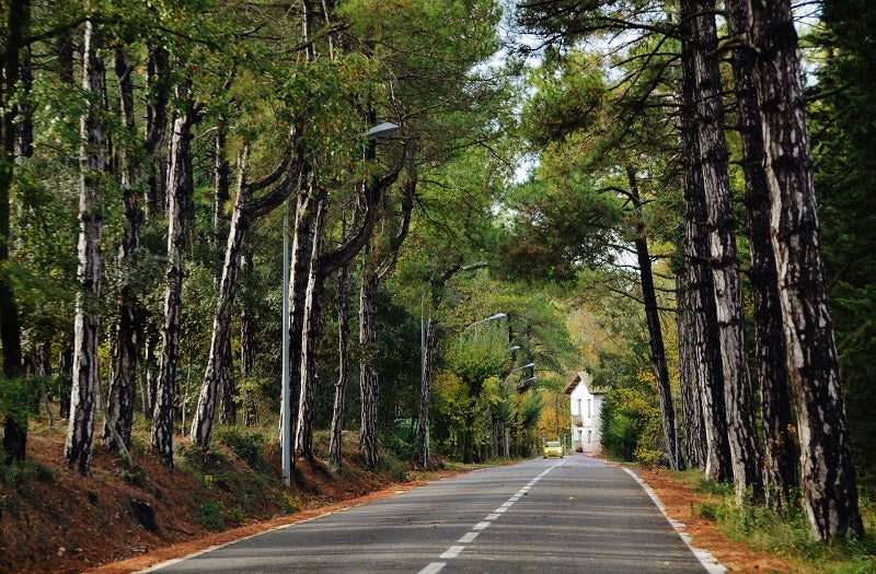 El pas de la carretera a Vallfogona de Riucorb (Baixa Segarra)