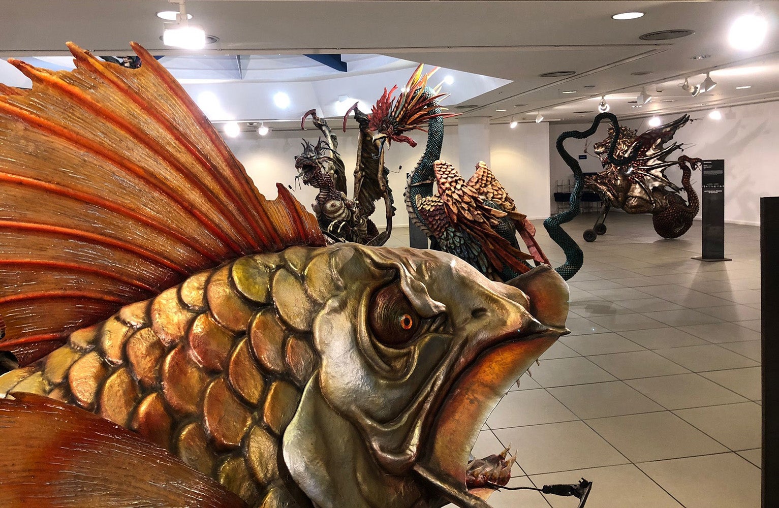 La mostra es pot visitar fins al dissabte 29 de maig