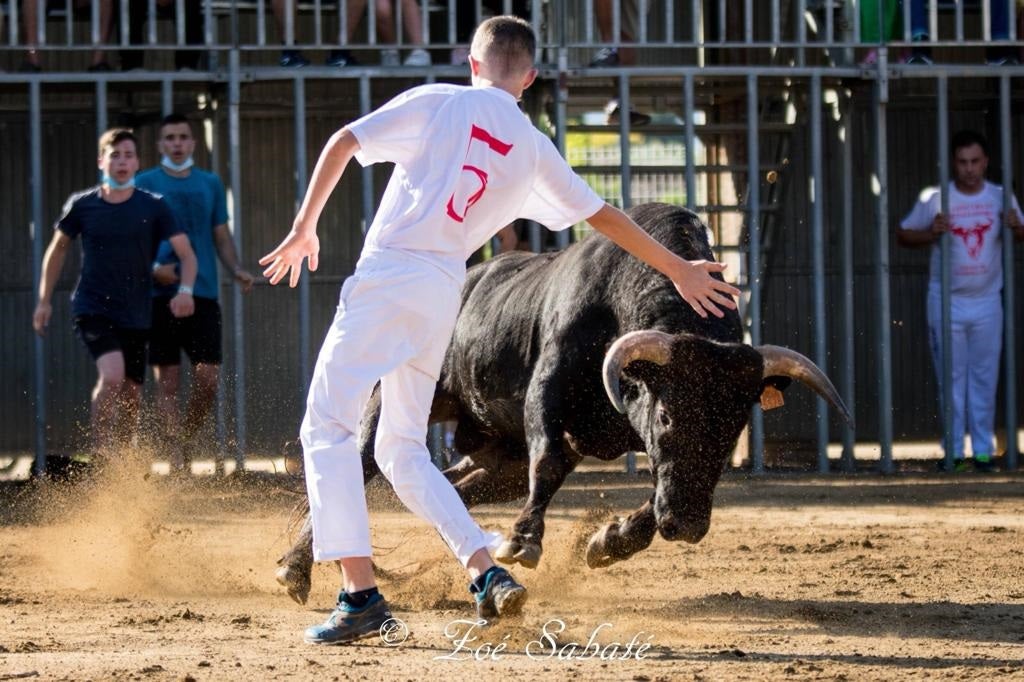 Ampolla va inaugurar la temporada de bous a les Terres de l'Ebre