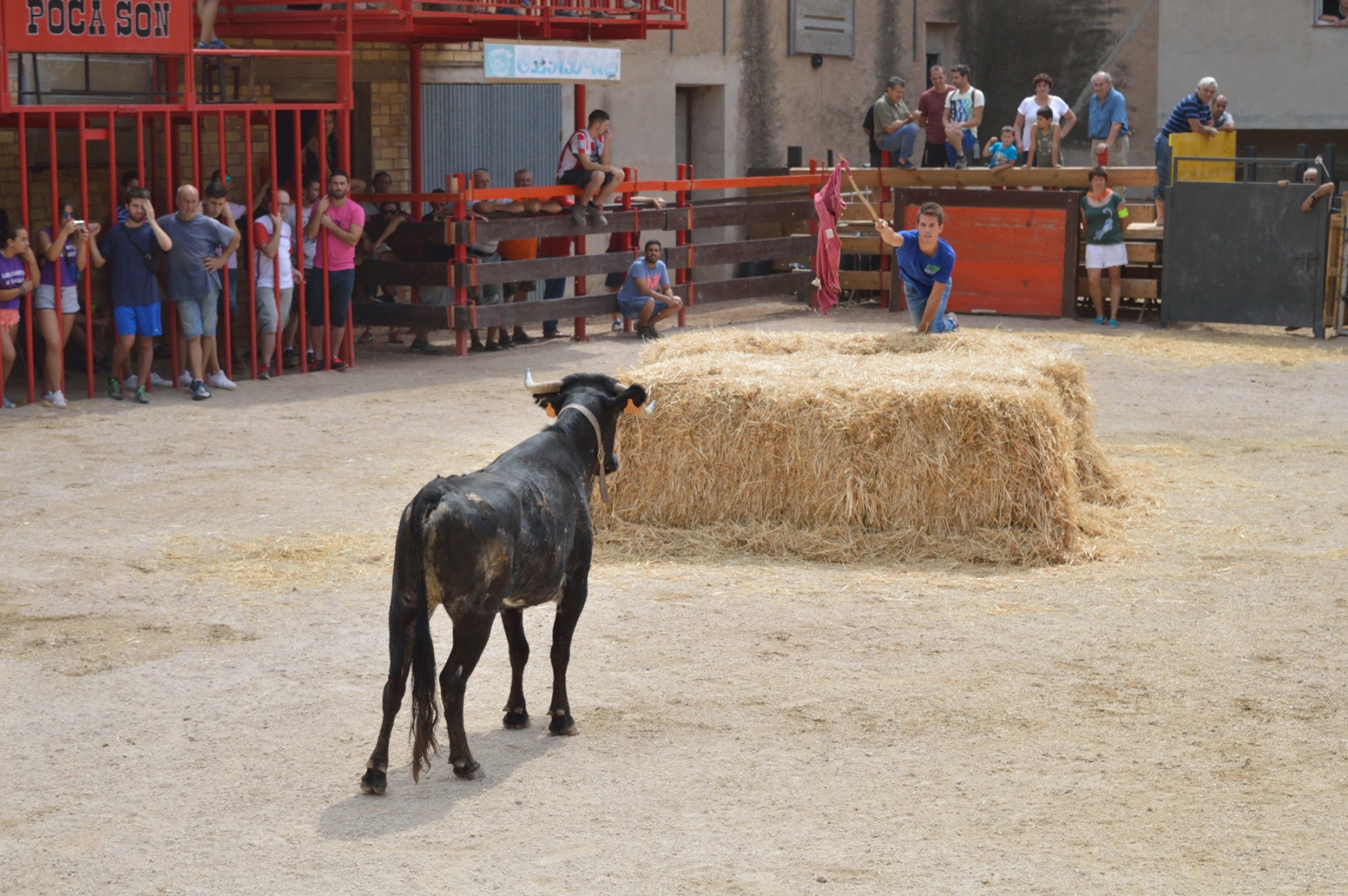 Les festes de bous són molt populars a les Terres de l'Ebre