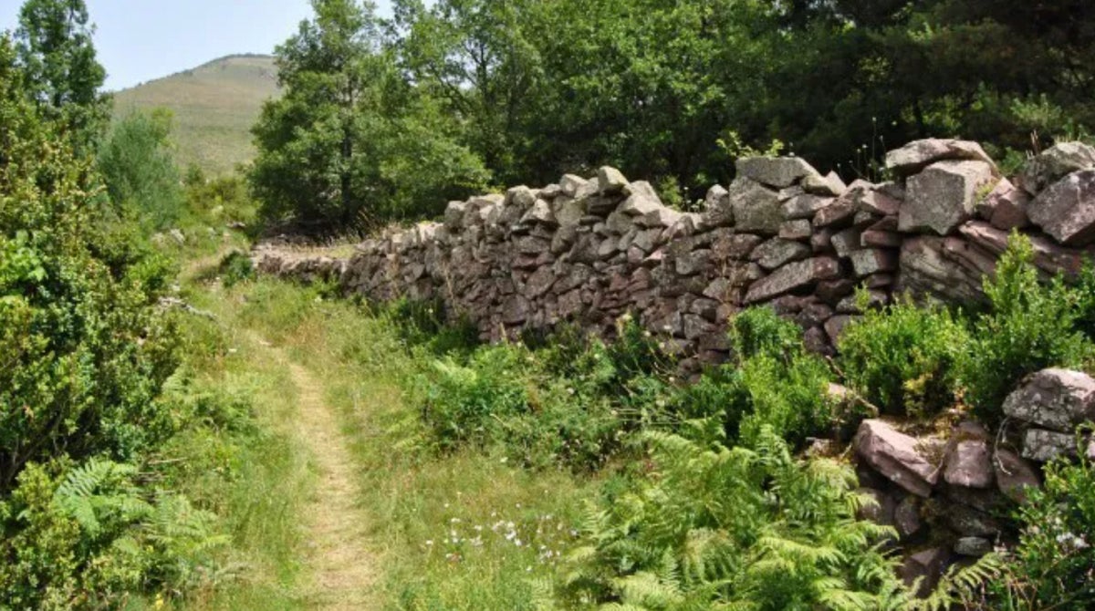 Durant la jornada de treball s’exposaran projectes de recerca en curs, tècniques i metodologies per preservar la memòria oral @cultpopular_cat
