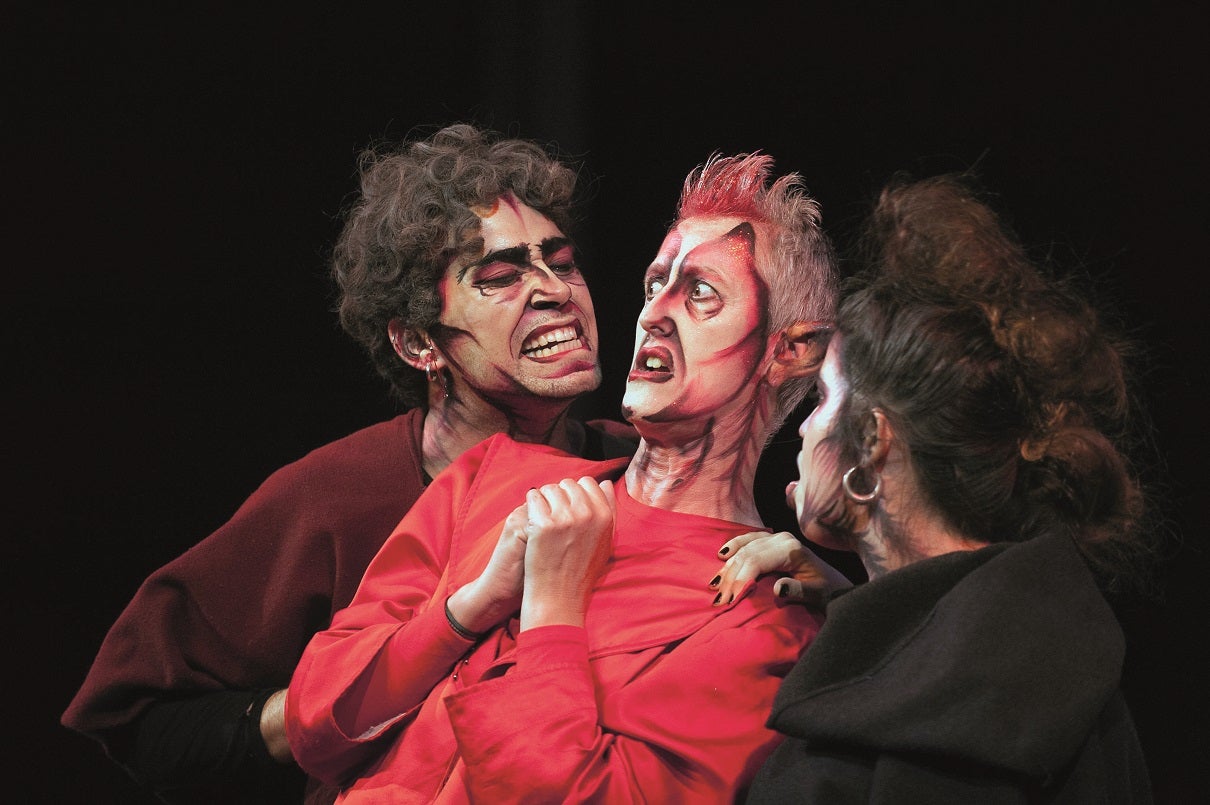 No me’n fio, 3r premi del IV Concurs de Fotografia Els meus pastorets |